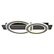 Globo LED stropna svjetiljka Jayden  (40 W, D x Š x V: 630 x 350 x 70 mm, Antracit, Topla bijela) | BAUHAUS