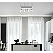 Globo Stropna spot svjetiljka Brisbon  (25 W, D x Š x V: 560 x 60 x 120 mm, Bijela, GU10) | BAUHAUS