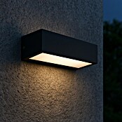 Forlight Aplique exterior LED Ara (2 luces, 7,2 W, Color de luz: Blanco cálido, IP65, Antracita)