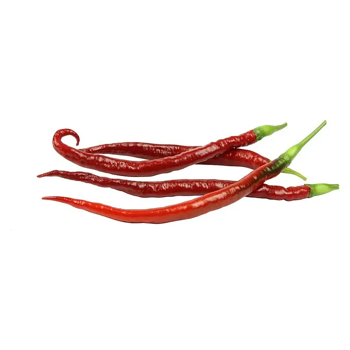 Piardino Chili Joe's Long - Capsicum anuum var. longum, 12 cm, Erntezeit: Juni - Rote Chilischoten liegen auf einer weißen Oberfläche. Die Schoten sind lang und dünn mit grünen Stielen.