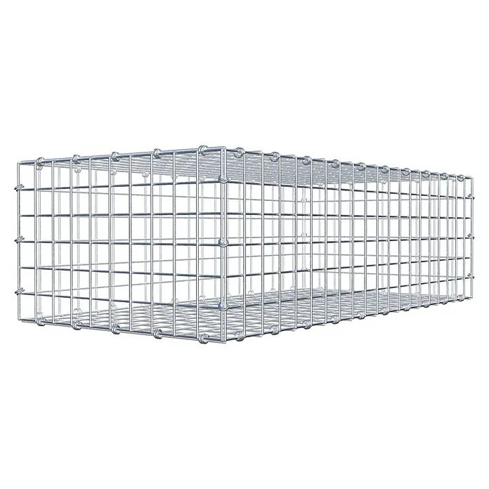 Gabiona Gabione - 100 x 50 x 30 cm, Maschenbreite: 5 cm, Maschenhöhe: 5 cm - Ein rechteckiger Gabionenkorb aus verzinktem Drahtgeflecht, ideal für den Garten- und Landschaftsbau. Die robuste Konstruktion sorgt für Stabilität.