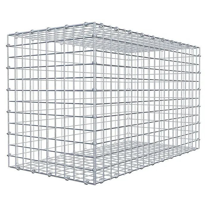 Gabiona Gabione - 100 x 50 x 60 cm, Maschenbreite: 5 cm, Maschenhöhe: 5 cm - Gabionenkäfig aus Drahtgeflecht, ideal für den Garten- und Landschaftsbau. Robustes Material für vielseitige Gestaltungsmöglichkeiten im Außenbereich.