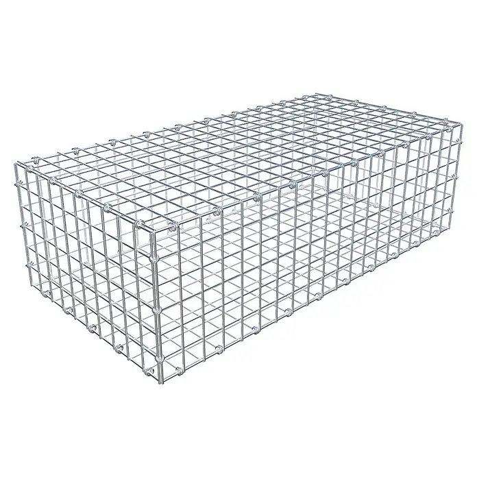 Gabiona Gabione - 100 x 50 x 30 cm, Maschenbreite: 5 cm, Maschenhöhe: 5 cm - Ein rechteckiger Gabionenkorb aus verzinktem Drahtgeflecht, ideal für Garten- und Landschaftsbau. Robuste Konstruktion für vielfältige Anwendungen.