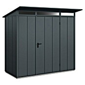 EcoStar Gerätehaus Elegant Typ 1 (Außenmaß inkl. Dachüberstand (B x T): 247,9 x 153 cm, Anthrazitgrau, Einzeltür) | BAUHAUS