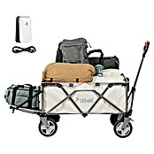 Litheli Bollerwagen 450 W W1 Pro EHW030005 (L x B x H: 102 x 55 x 60 cm, 4 Ah, Belastbarkeit: 60 kg) | BAUHAUS