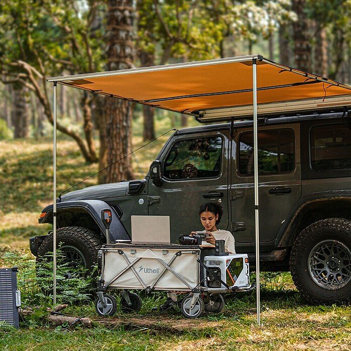 Litheli Bollerwagen 450 W W1 Pro EHW030005 (L x B x H: 102 x 55 x 60 cm, 4 Ah, Belastbarkeit: 60 kg) | BAUHAUS