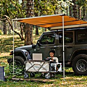 Litheli Bollerwagen 450 W W1 Pro EHW030005 (L x B x H: 102 x 55 x 60 cm, 4 Ah, Belastbarkeit: 60 kg) | BAUHAUS