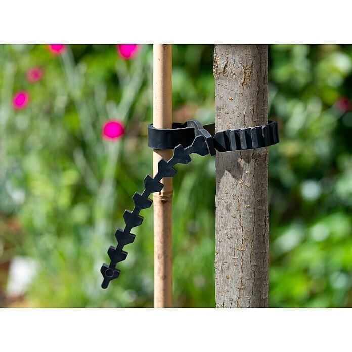 Nature Boomband (b x l: 2,5 x 57 cm) | BAUHAUS