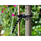 Nature Boomband (b x l: 2,5 x 57 cm) | BAUHAUS
