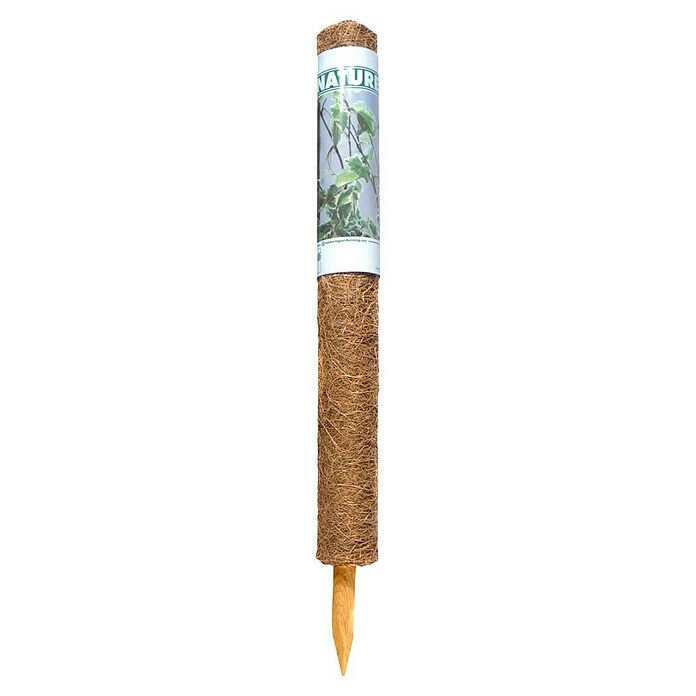Nature Plantstok (Ø x h: 60 mm x 60 cm) | BAUHAUS