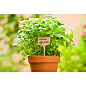 Nature Steeketiketten (b x h: 5,4 x 14,6 cm, 5 st.) | BAUHAUS