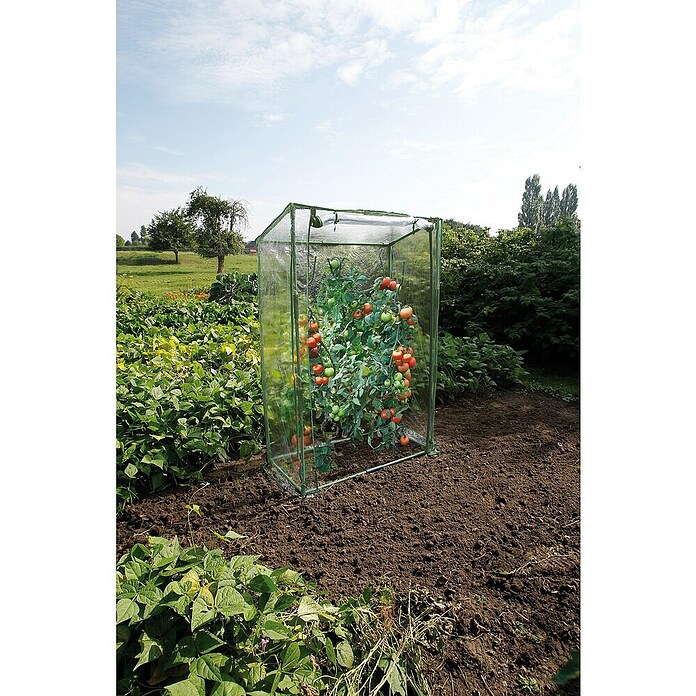 Nature Foliekas (50 x 100 x 150 cm) | BAUHAUS