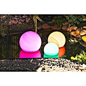 Ubbink Vijververlichting MultiBright Solar Float 25 LED (Dag- en nachtsensor, Waterdicht) | BAUHAUS