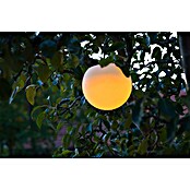 Ubbink Vijververlichting MultiBright Solar Float 25 LED (Dag- en nachtsensor, Waterdicht) | BAUHAUS