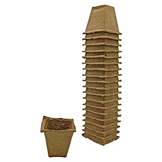 Nature Kweekpot (Hout, Bruin, l x b x h: 6 x 6 x 6 cm)