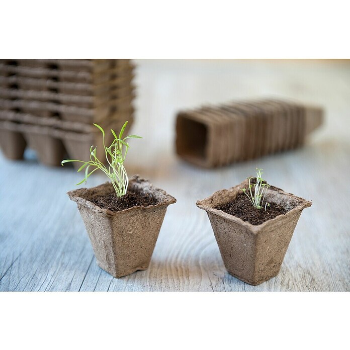 Nature Kweekpot (Hout, Bruin, l x b x h: 6 x 6 x 6 cm) | BAUHAUS
