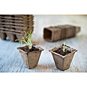 Nature Kweekpot (Hout, Bruin, l x b x h: 6 x 6 x 6 cm) | BAUHAUS