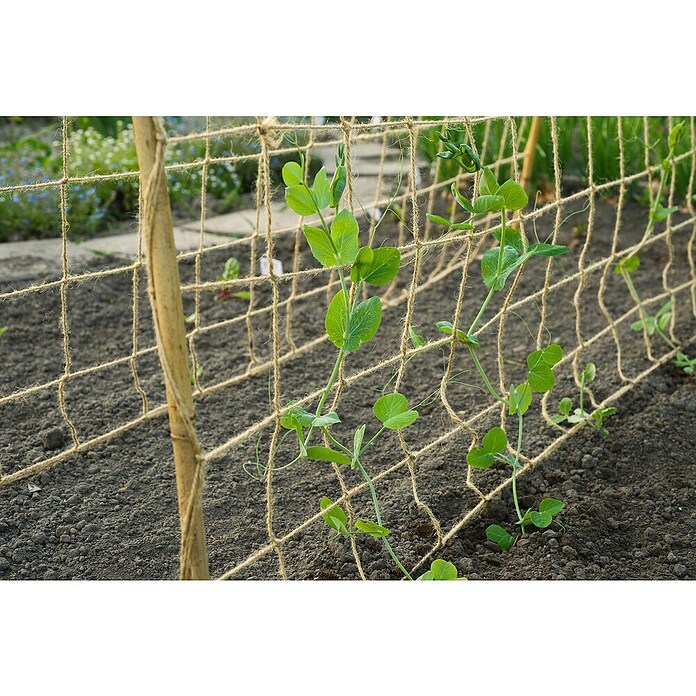 Nature Plantensteun (b x l: 1 x 3 m) | BAUHAUS
