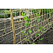 Nature Plantensteun (b x l: 1 x 3 m) | BAUHAUS