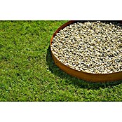 Nature Borderrand (l x h: 264 x 10,2 cm, Staal) | BAUHAUS