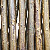 Nature Plantenklimrek (b x h: 60 x 180 cm) | BAUHAUS