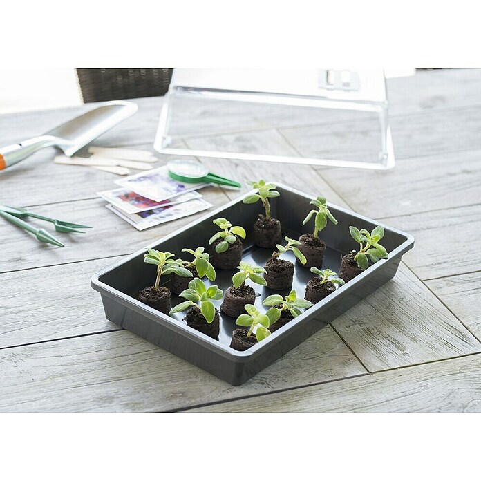 Spetebo Kas met houten frame, 120 x 80 cm, foliekas met metalen frame, broeikas, planten, kweekbed met ramen