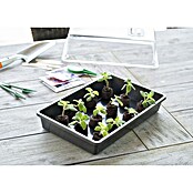 Nature Kweekbak (37,5 x 24 x 6 cm, Kunststof, Antraciet) | BAUHAUS