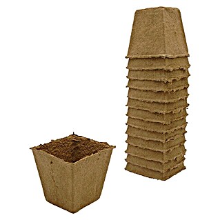 Nature Kweekpot (Hout, Bruin, l x b x h: 8 x 8 x 8 cm)