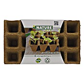 Nature Kweekpot (Hout, Bruin, l x b x h: 5 x 5 x 5 cm) | BAUHAUS