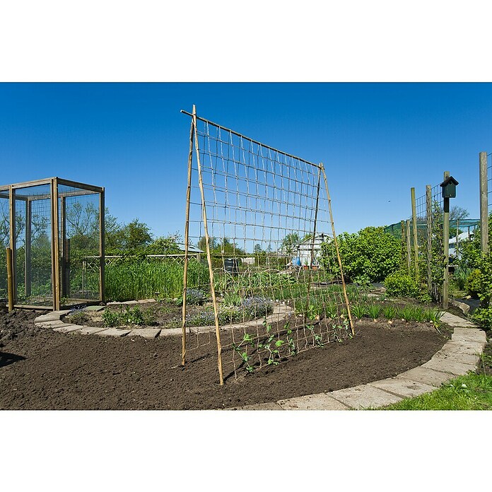 Nature Plantensteun (b x l: 1,8 x 5 m) | BAUHAUS