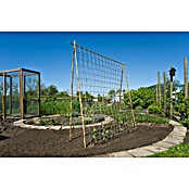 Nature Plantensteun (b x l: 1,8 x 5 m) | BAUHAUS