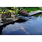 Ubbink Vijveronderhoudsmiddel Aqua Bacto Plus® (200 g) | BAUHAUS