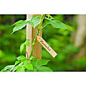 Nature Plantlabels (Bamboe, 15 st.) | BAUHAUS