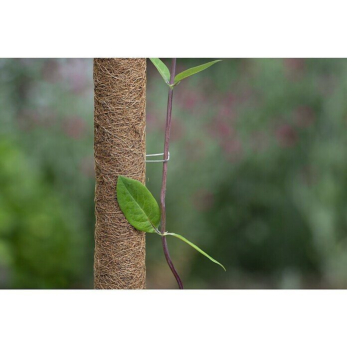 Nature Platte draadkrammen (10 st.) | BAUHAUS