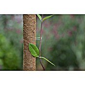 Nature Platte draadkrammen (10 st.) | BAUHAUS