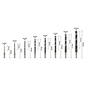 Bosch Broca para metal Impact Control HSS (8 ud., Diámetro de la broca: 10 mm) | BAUHAUS