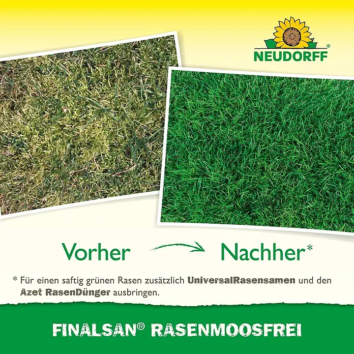 Neudorff Finalsan Rasen-Moosfrei - 500 ml - Vorher-Nachher-Vergleich von Rasen mit FINALSAN® RASENMOOSFREI, der Moos effektiv entfernt und für einen grünen, gesunden Rasen sorgt.