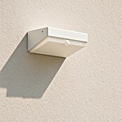Arte confort Aplique solar LED para exterior con sensor Alcor (Célula solar, Blanco frío)