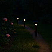 BAUHAUS Estaca solar con sensor (0,1 W, L x An x Al: 10,6 x 10,6 x 57 cm, Negro, IP44, 50 lm) | BAUHAUS