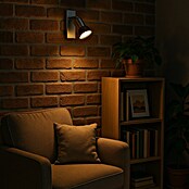 Tween Light