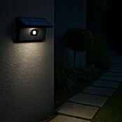 Starlux