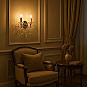 Trio Lighting Aplique de pared Clear (40 W, Transparente, E14) | BAUHAUS