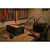 Xunzel Cargador de baterías (10 A, 12 V, Green/Black) | BAUHAUS