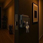 Cerradura electrónica (12 V, Plata) | BAUHAUS