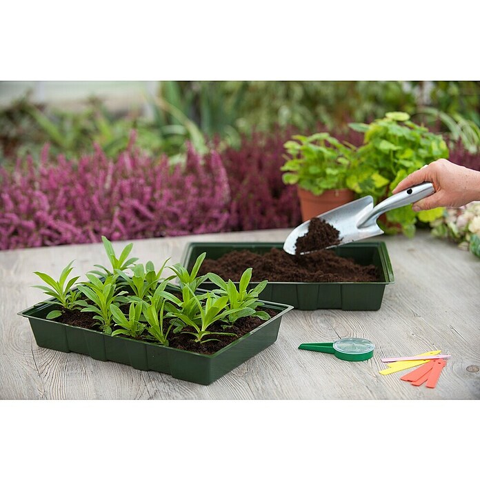 Nature Kweekbakset (l x b x h: 35 x 23,5 x 5,5 cm, 5 st.) | BAUHAUS