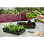 Nature Kweekbakset (l x b x h: 35 x 23,5 x 5,5 cm, 5 st.) | BAUHAUS