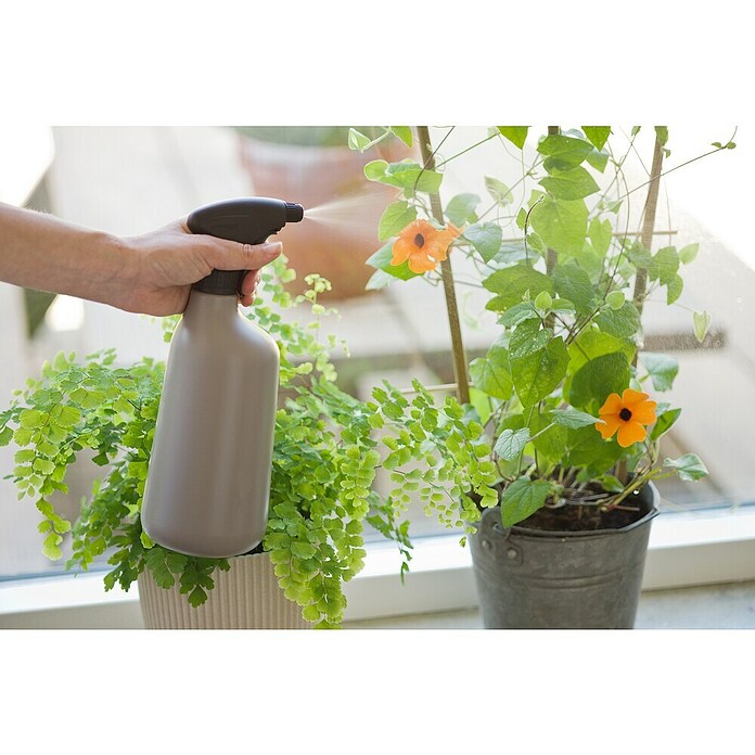 Nature Plantenspuit Basic (Taupe) | BAUHAUS