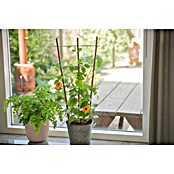 Nature Plantenklimrek (b x h: 24 x 60 cm) | BAUHAUS