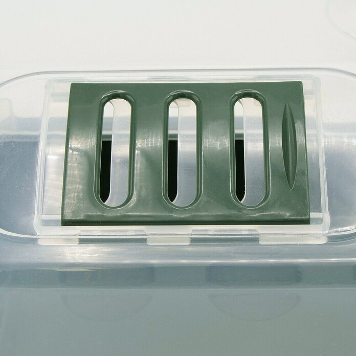 Nature Kas (Groen) | BAUHAUS