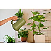Nature Plantengieter Basic (Groen, 3,8 l) | BAUHAUS